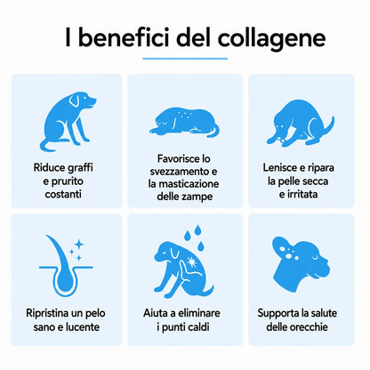 Collagene Liquido Premium TOKLER
