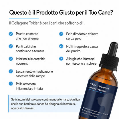 Collagene Liquido Premium TOKLER
